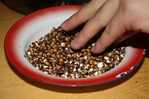 620 Roasted seeds