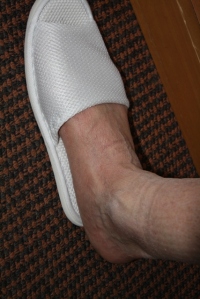 0761 Slipper and foot