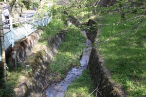 0867 Drainage creek